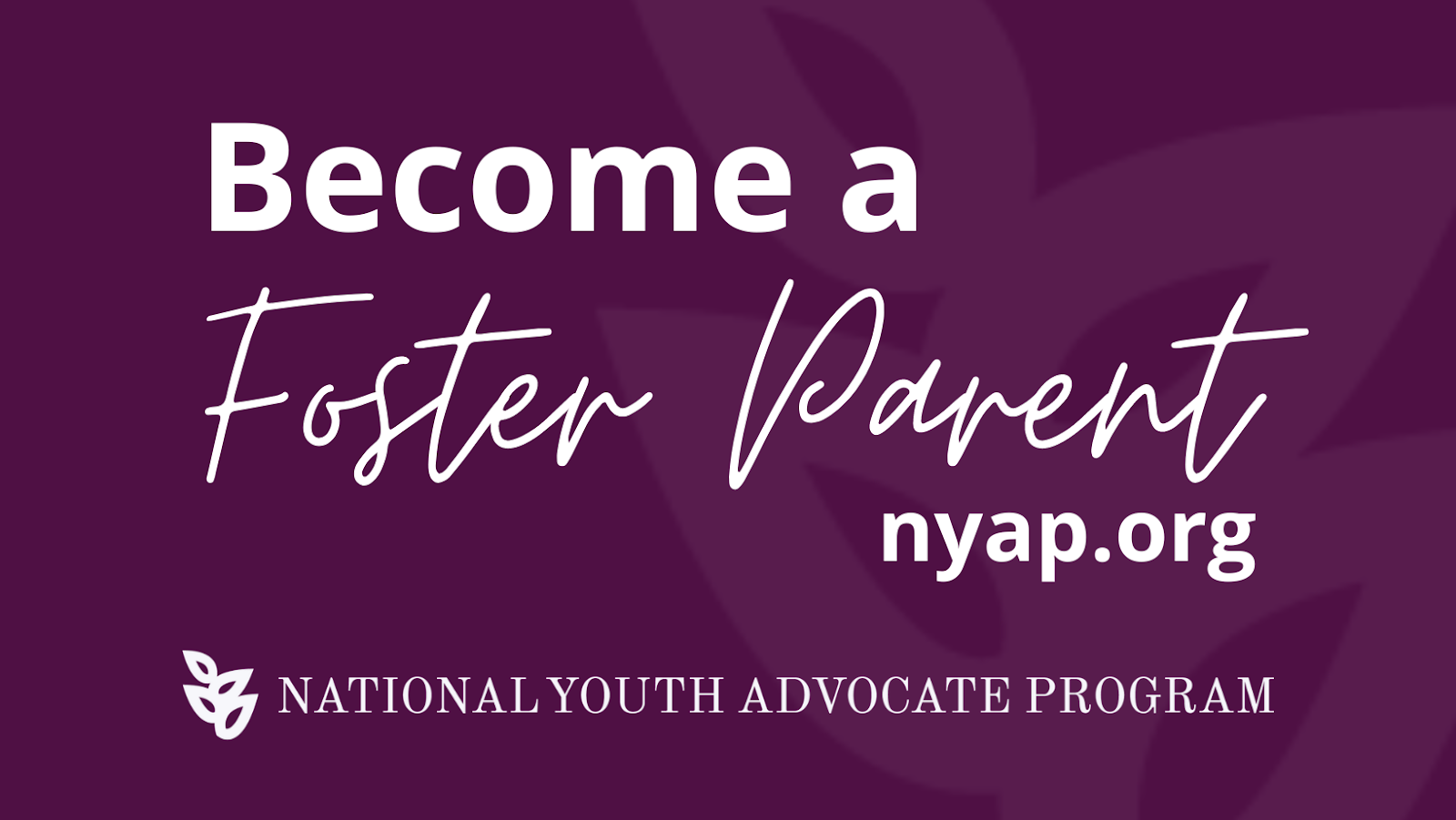 National Youth Advocate Program